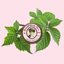 Smith's Rosebud Brambleberry Rose Lip Balm - Tin