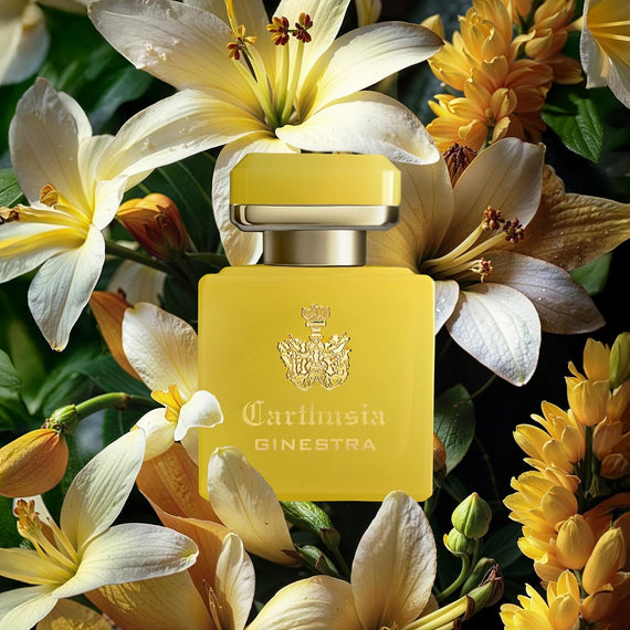 CARTHUSIA Perfume Intenso di Ginestra