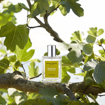 Sample Vial - Acca Kappa White Fig & Cashmere Eau de Parfum