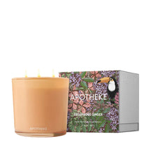 APOTHEKE Cedarwood Ginger 120hr Candle