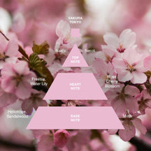 Sample Vial - Acca Kappa Sakura Tokyo Eau de Parfum