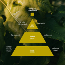 Sample Vial - Acca Kappa White Fig & Cashmere Eau de Parfum