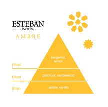 Sample Vial - Esteban Ambre Room Spray