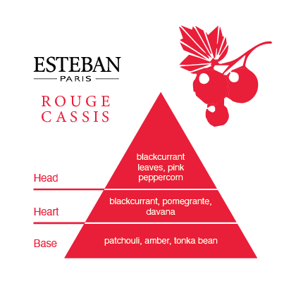 Esteban Rouge Cassis Decorative Diffuser