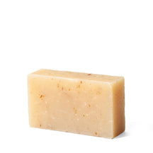 Fermenstation Facial Soap - Premium