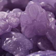 Leone 1857 Violet Candy Drops in Round Tin - 150g