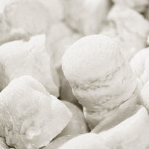 Leone 1857 Delicate Vanilla Pastilles - Box