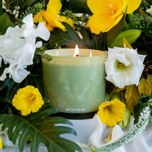 APOTHEKE Saffron Vanilla 120hr Candle