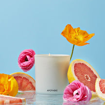 APOTHEKE Sea Salt Grapefruit Classic Candle