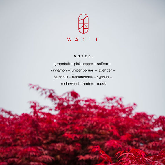 Sample Vial - WA:IT AKA Eau de Parfum