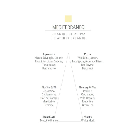 CARTHUSIA Mediterraneo Liquid Soap