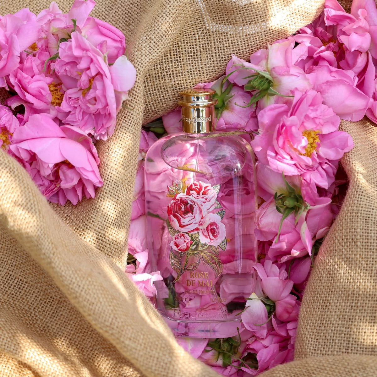 Fragonard Rose de Mai Eau de Toilette - 2026: Official Stockist