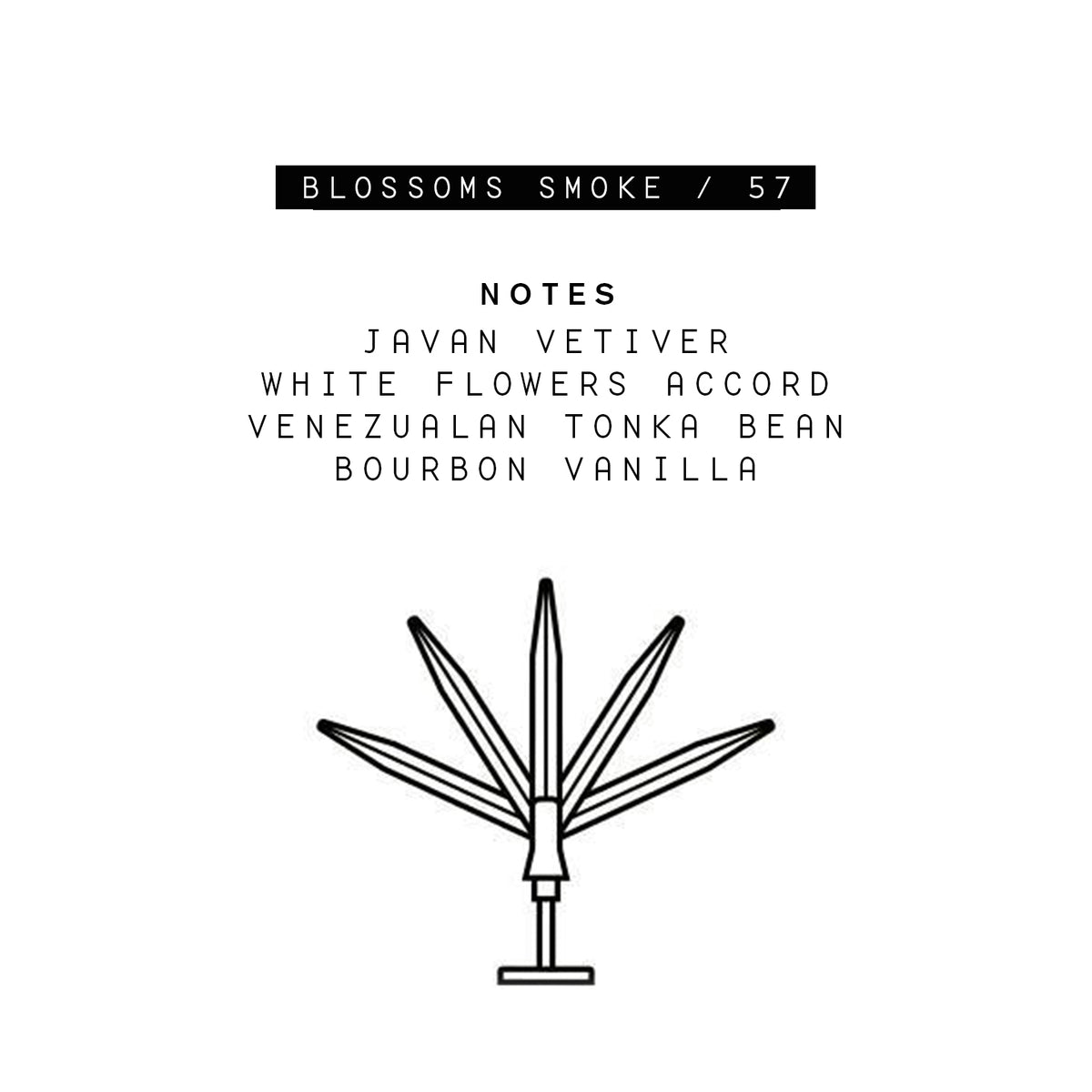 Parle Moi Blossoms Smoke / 57 Eau de Parfum - 50ml: Official Stockist