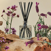 VOLUSPA French Cade & Lavender Best Sellers - Value $185