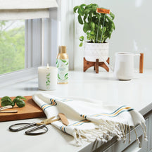 Thymes Fresh Cut Basil Boxed Candle