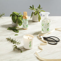 Thymes Fresh Cut Basil Boxed Candle
