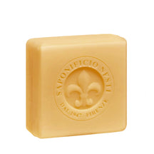 Nesti Dante Ivy & Clove Soap