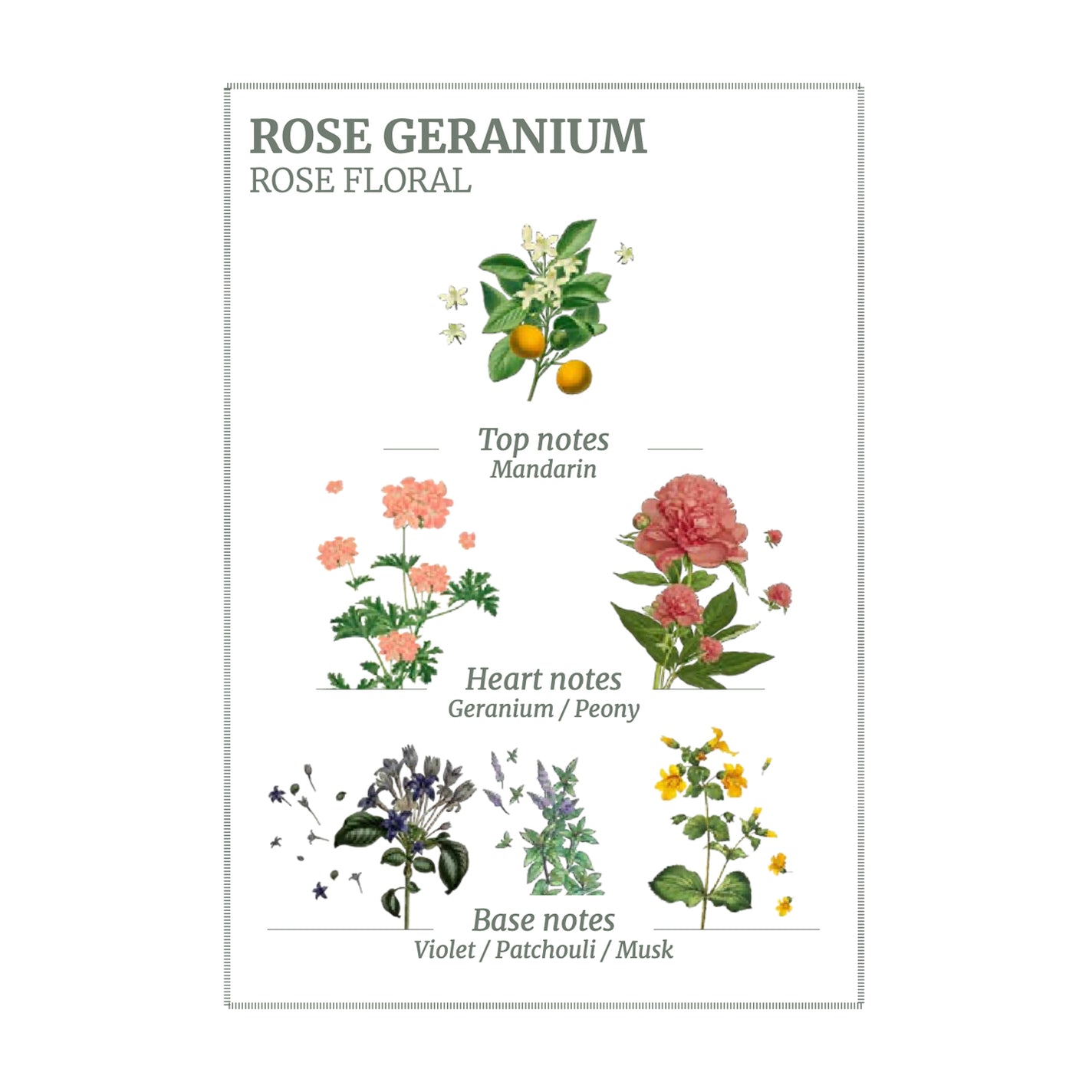 Panier des Sens Rose Geranium Shower Gel