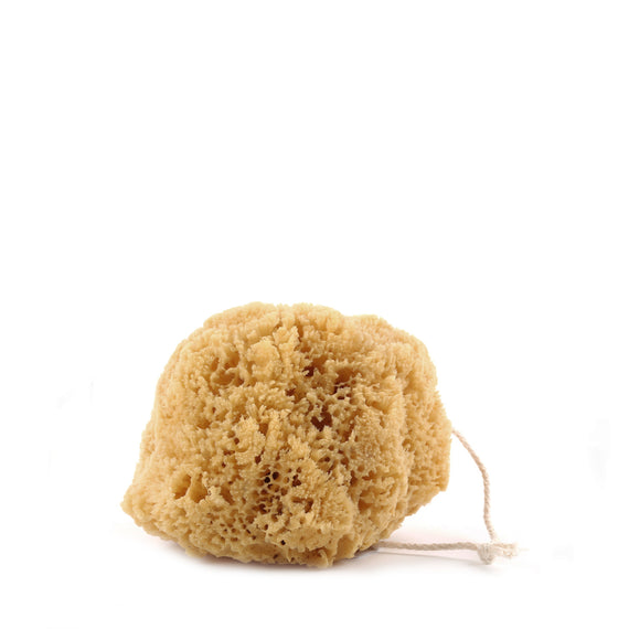 Redecker Mediterranean Sea Sponge