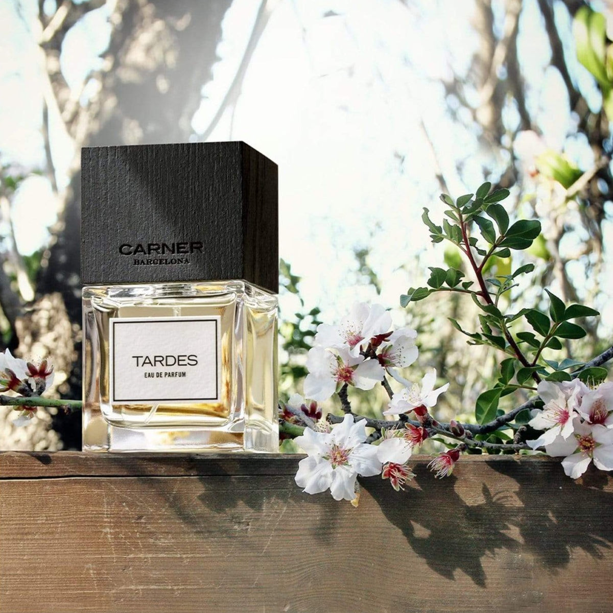 CARNER BARCELONA Tardes Eau de Parfum - 50ml: Official Stockist