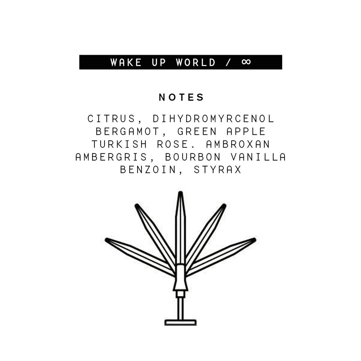 parle-moi-wake-up-world-eau-de