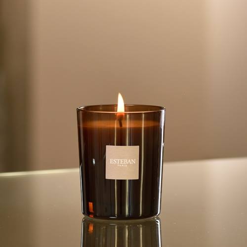 Esteban Teck & Tonka Candle - 70g