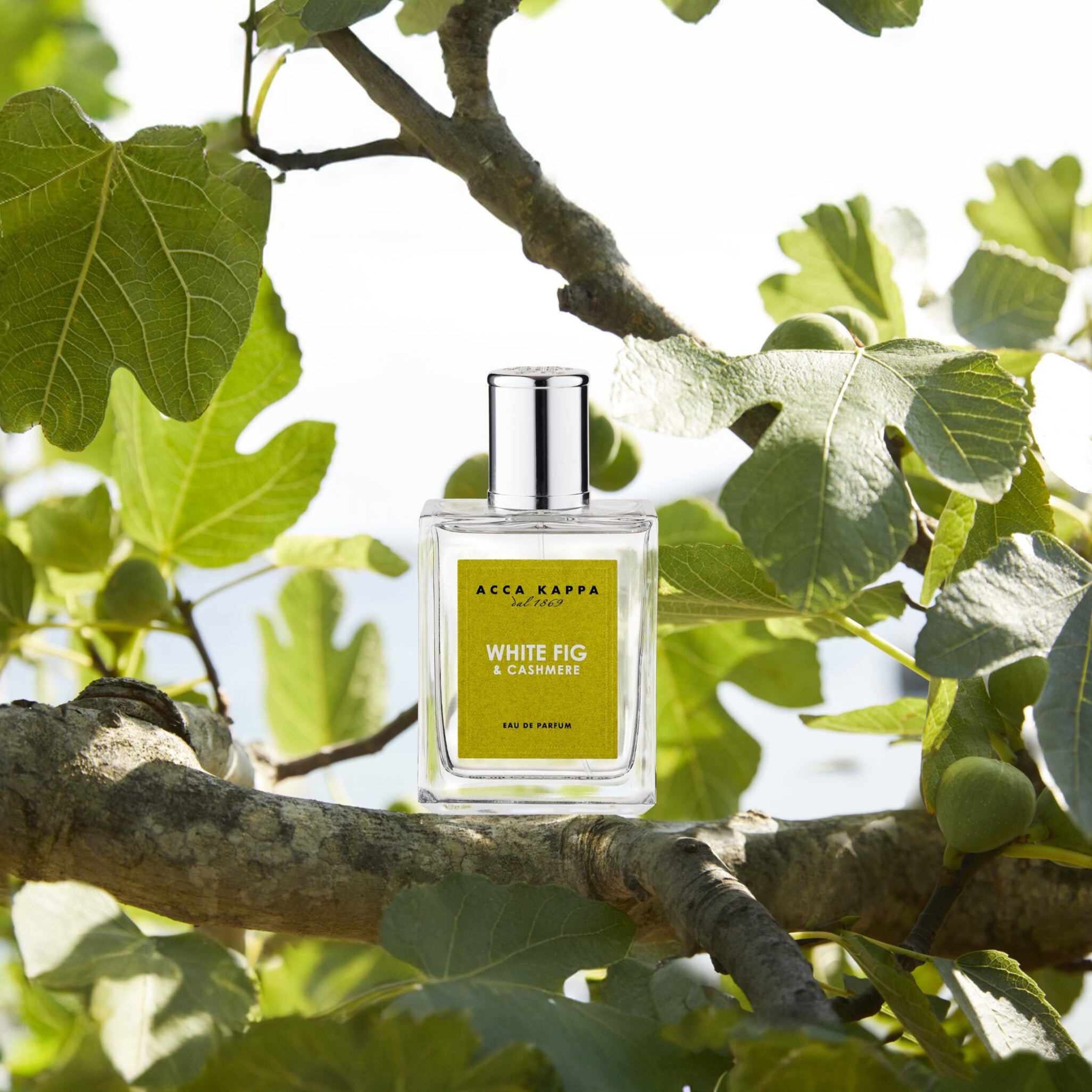 Fragonard Santal Cardamome Eau de Parfum