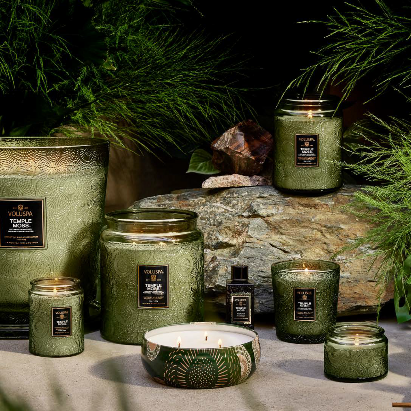 VOLUSPA Temple Moss 60hr Classic Candle