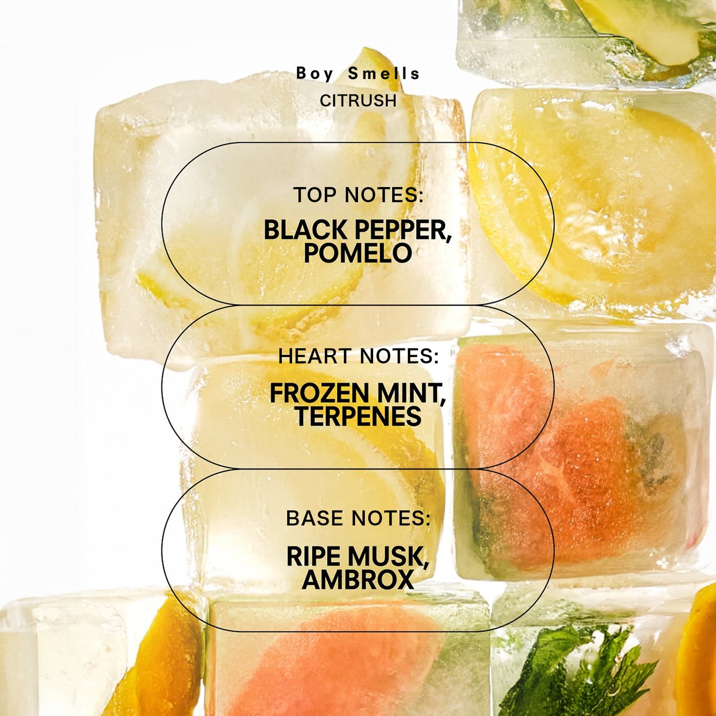 Boy Smells Citrush Standard Candle