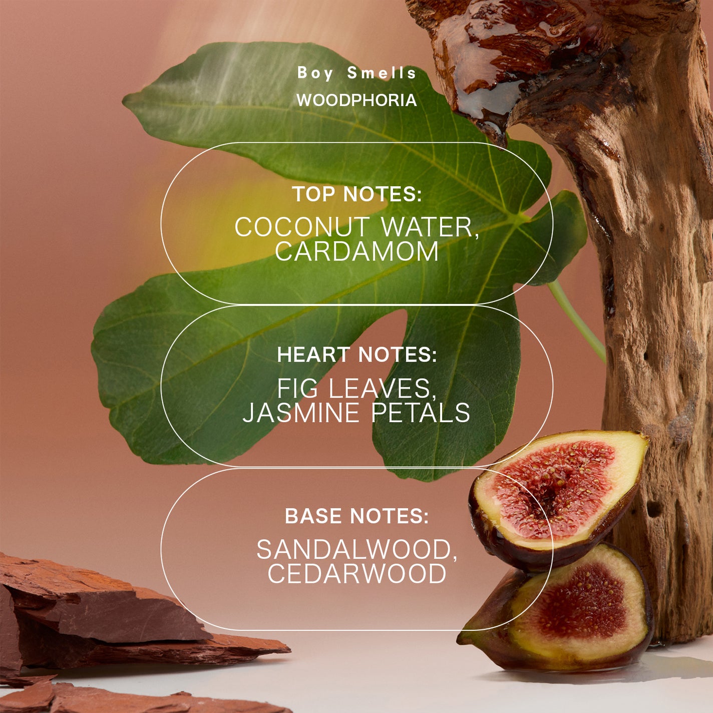 Boy Smells Woodphoria Fine Fragrance - 50ml