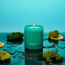 Boy Smells Herbaceous Standard Candle