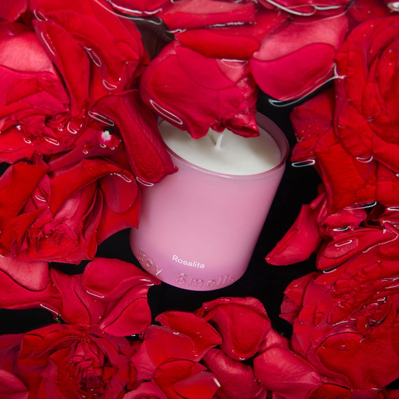 Boy Smells Rosalita Standard Candle