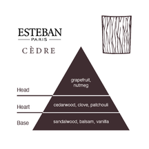 Esteban Cèdre Diffuser Refill +Reeds