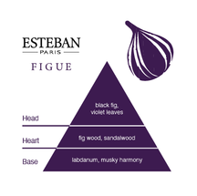 Esteban Fig Diffuser Refill + Reeds