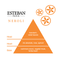 Esteban Neroli Bamboo Incense