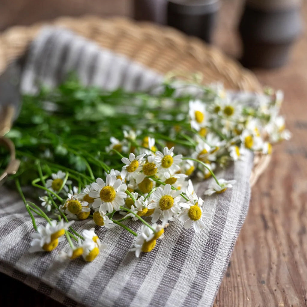 Fog Linen Work Linen Tea Towel: Roman