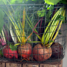 Fog Linen Work Standard Basket (M)