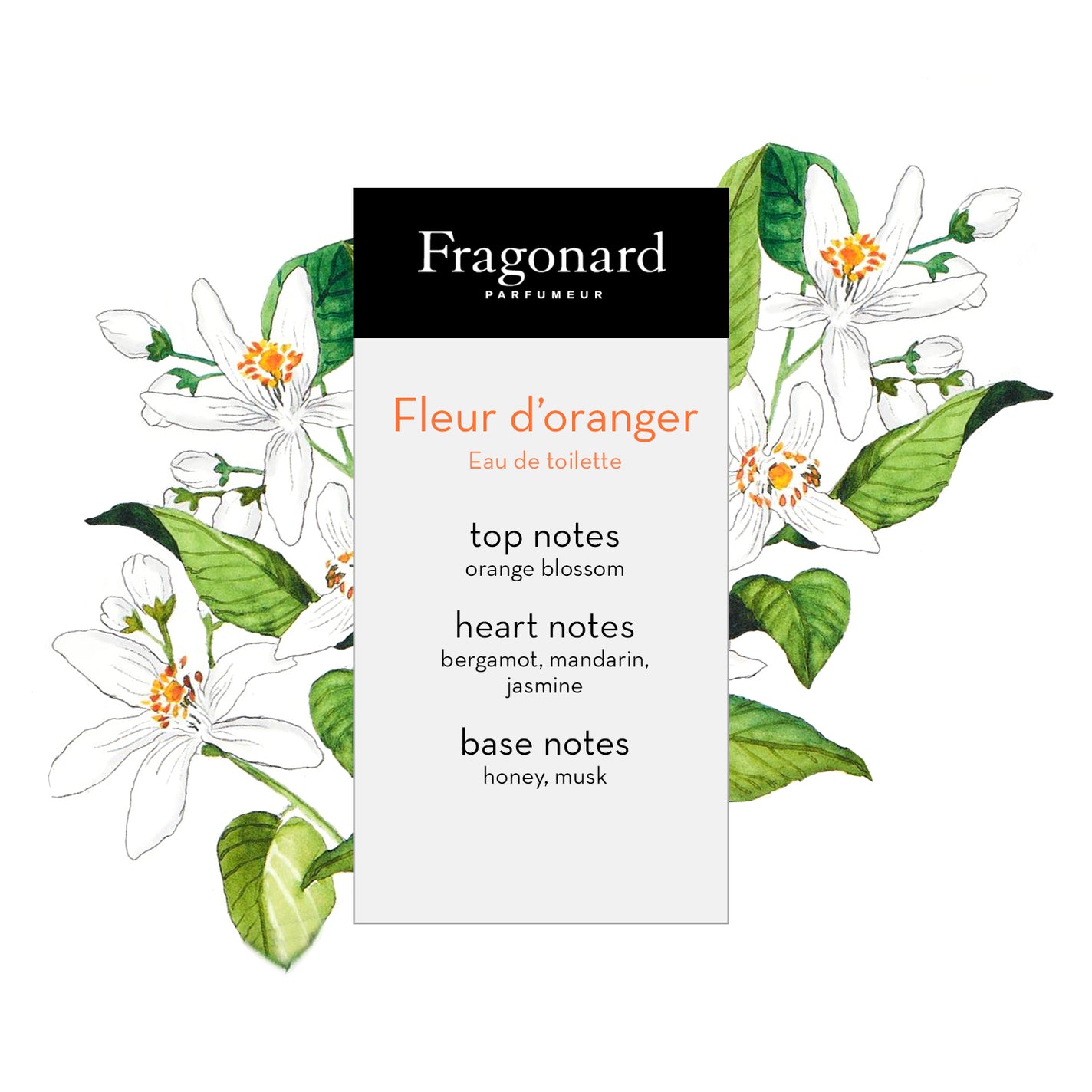 Fragonard Fleur d'oranger Eau de Toilette - 100ml