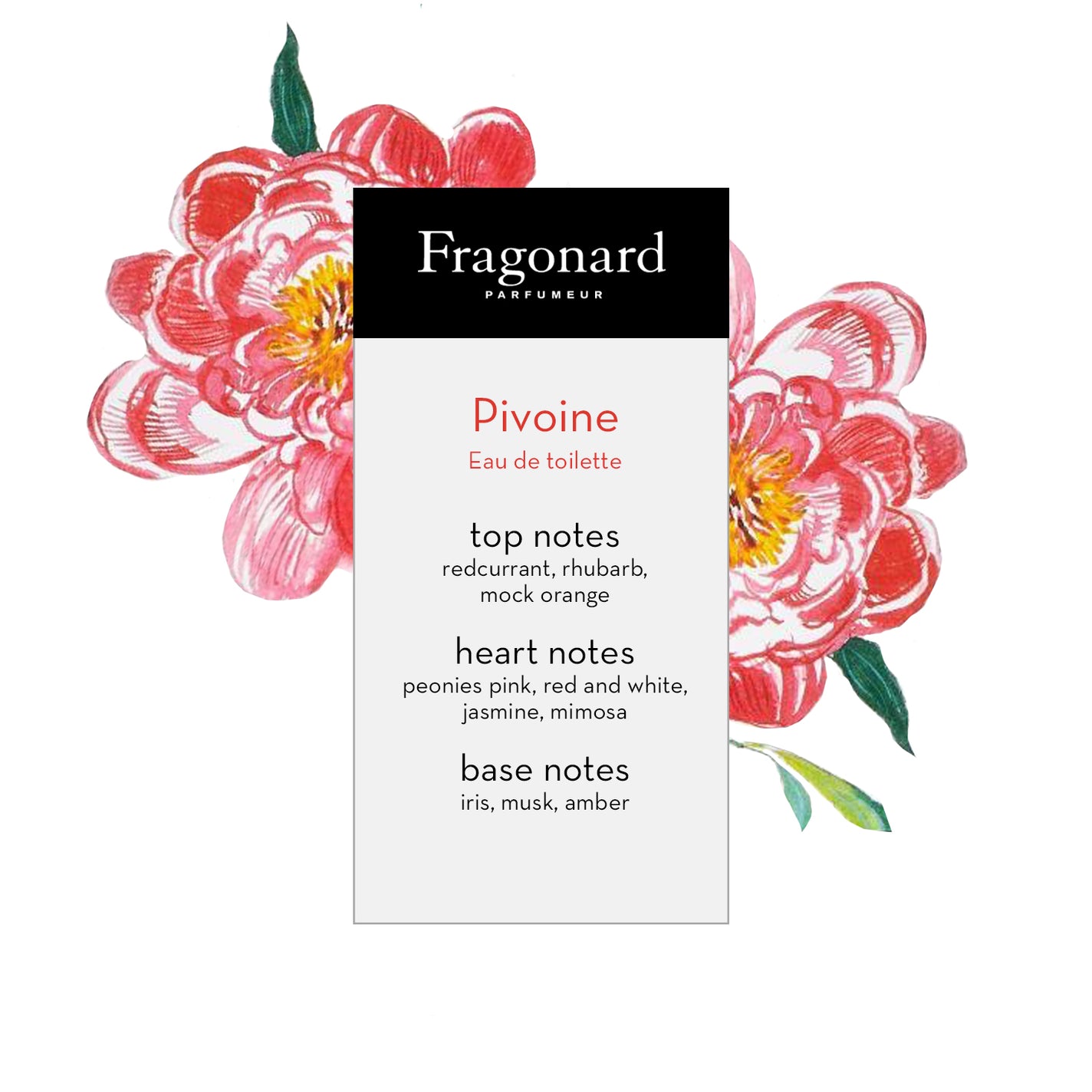 Sample Vial - Fragonard Pivoine Eau de Toilette