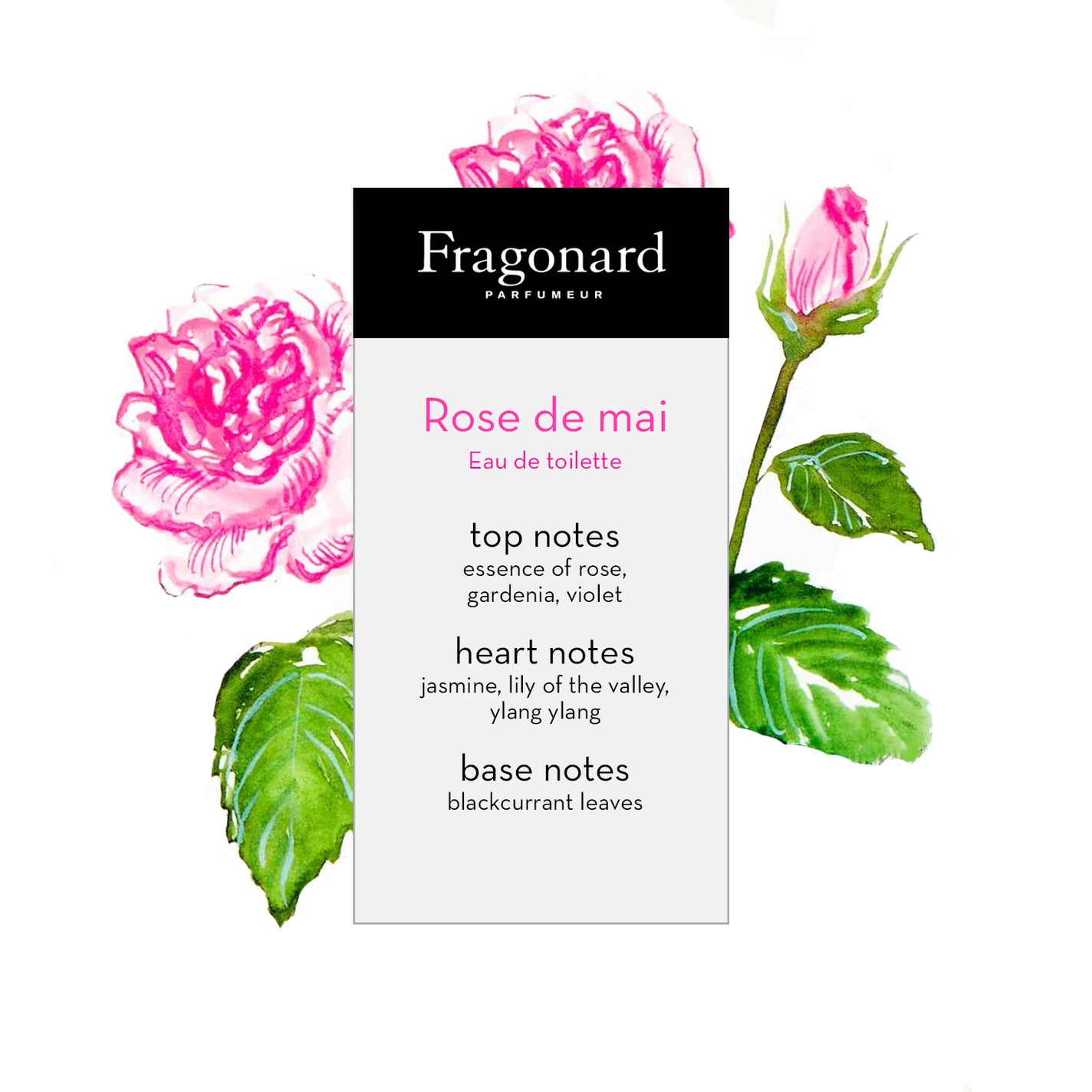 Sample Vial - Fragonard Rose de Mai Eau de Toilette
