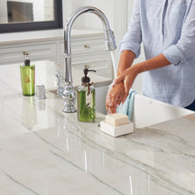 Thymes Frasier Fir Dishwashing Liquid