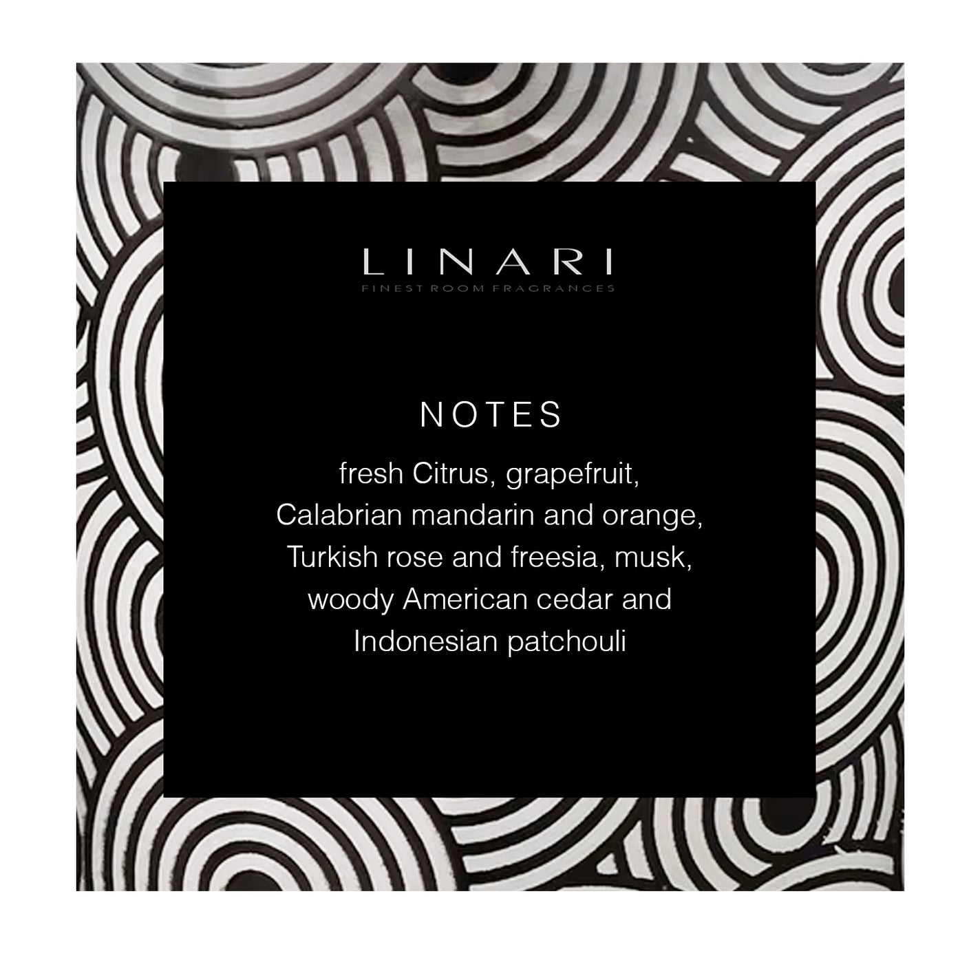 LINARI Sasso Diffuser + Reeds