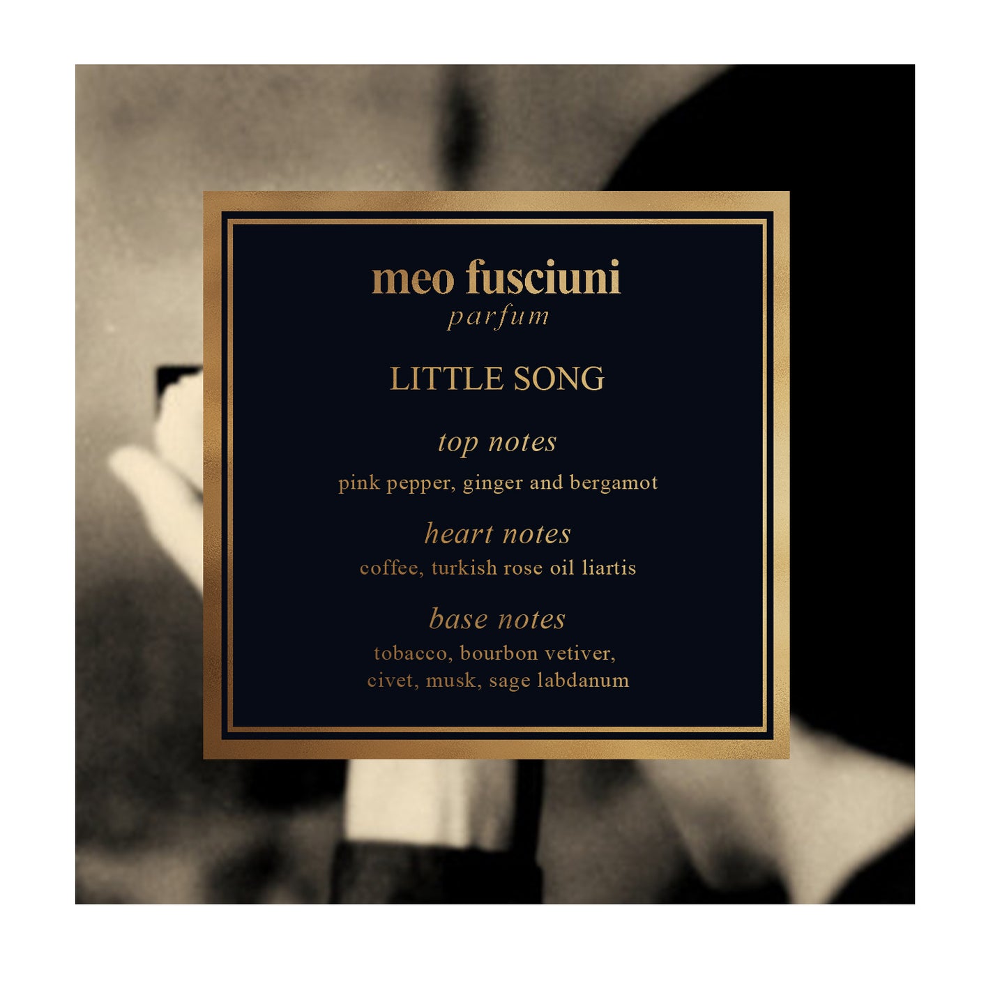 Meo Fusciuni Little Song Parfum