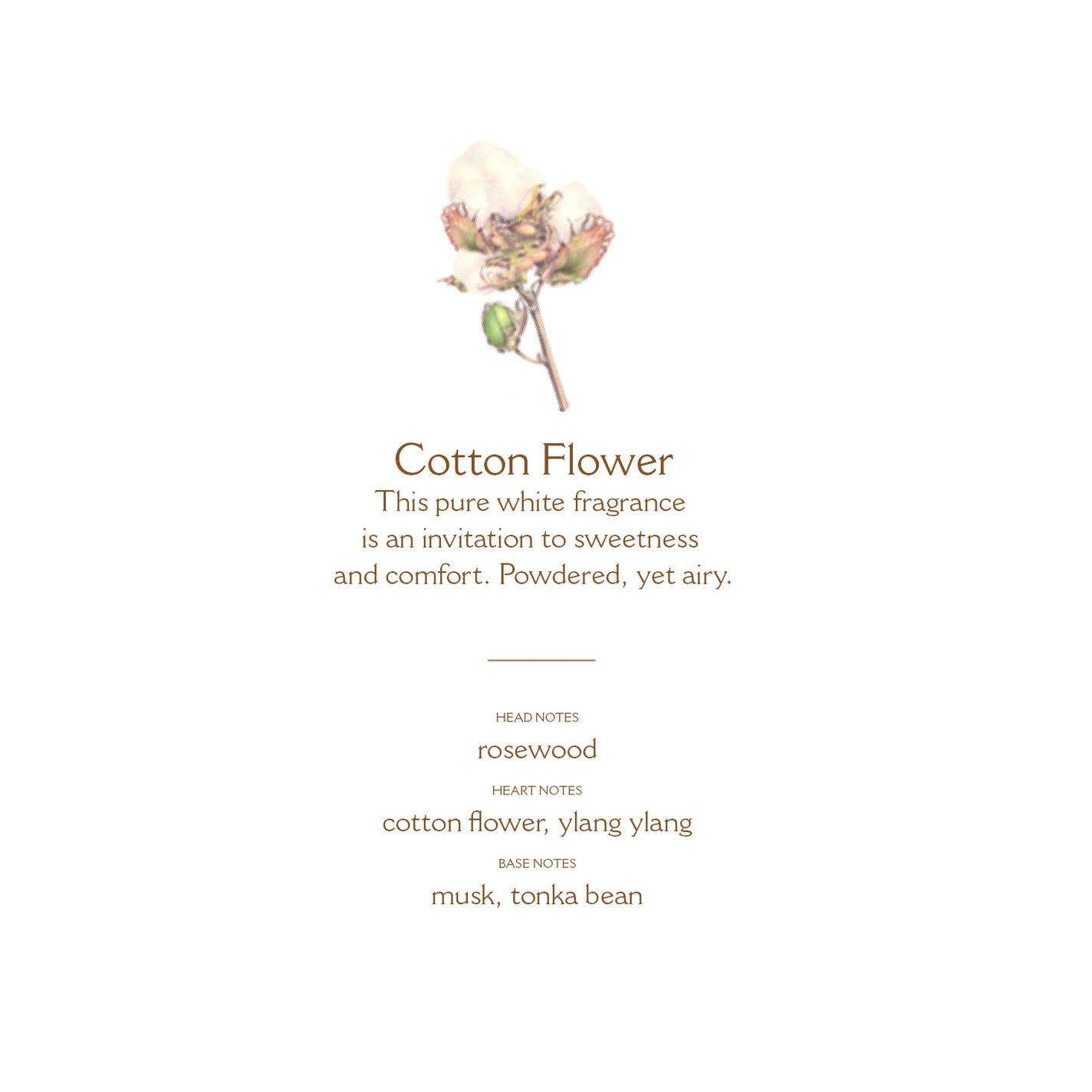 Sample Vial - Panier des Sens Cotton Flower Room Spray