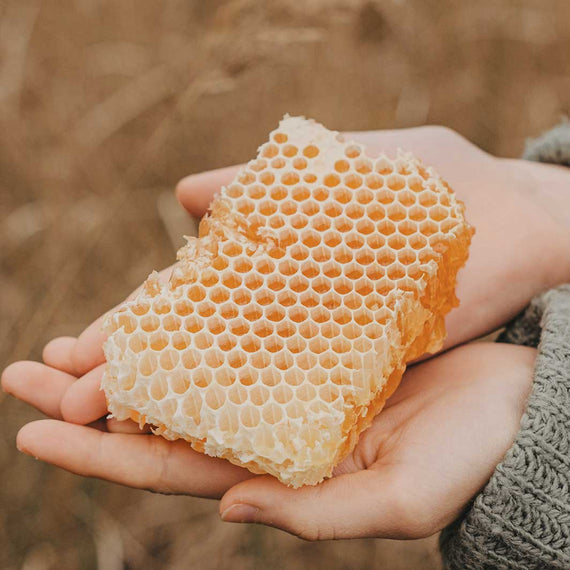 Panier des Sens Honey Best Sellers Bundle - Value $139