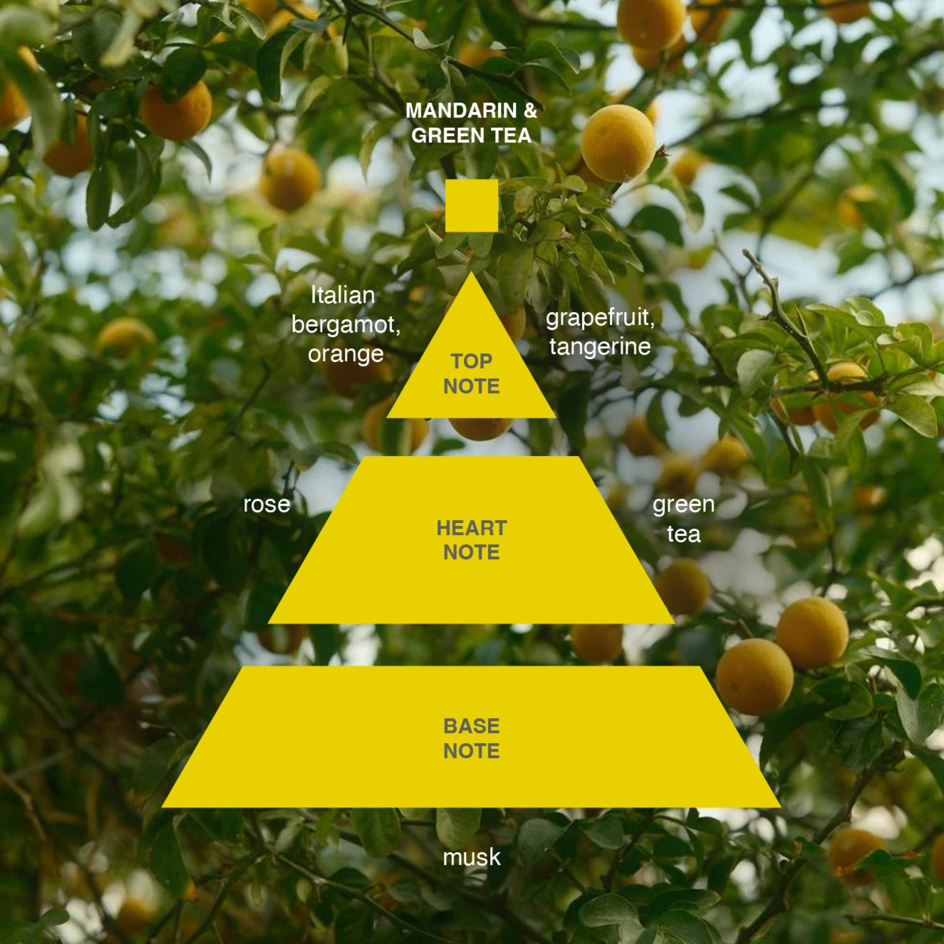 Acca Kappa Mandarin & Green Tea Eau de Parfum