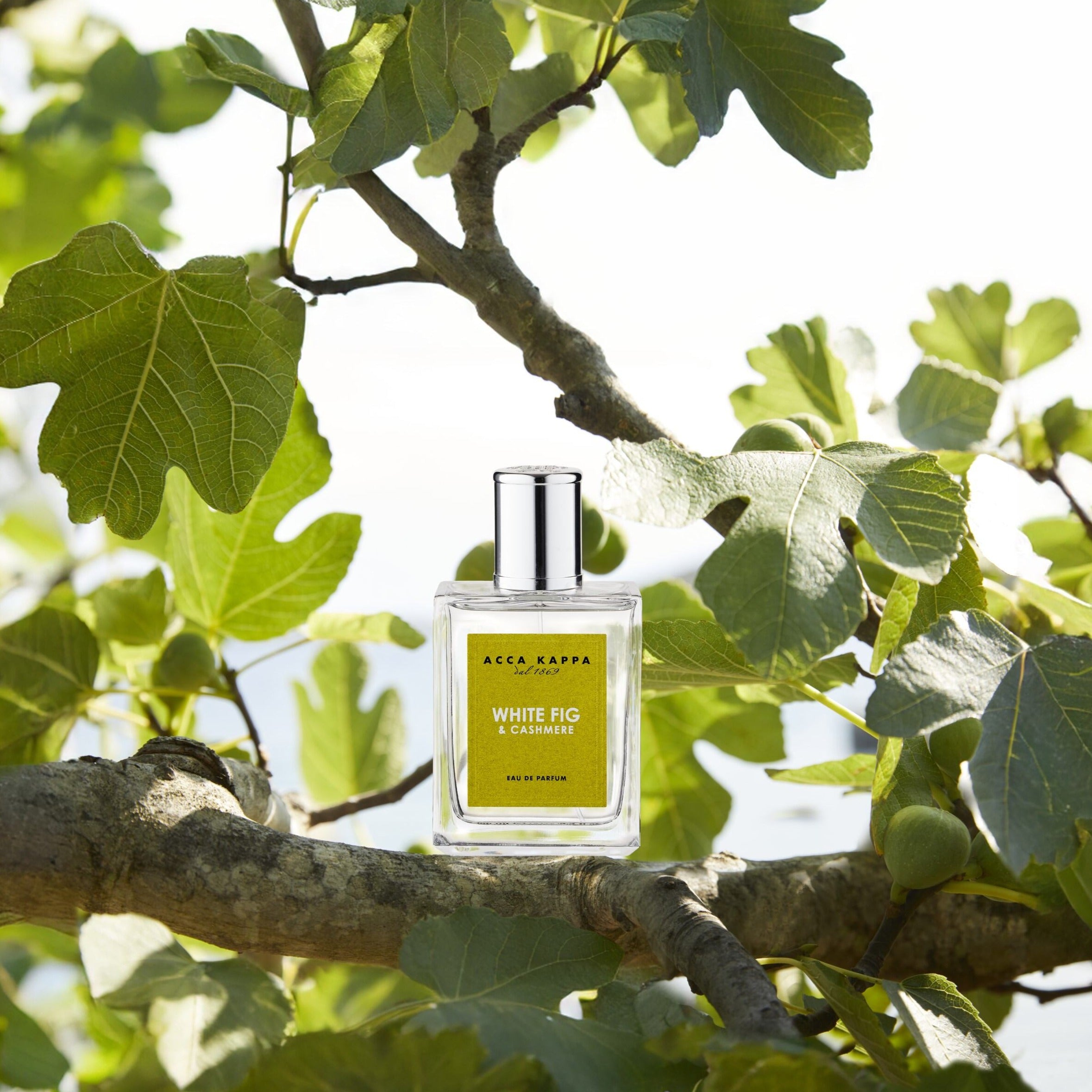 Acca Kappa White Fig & Cashmere Eau de Parfum – Saison