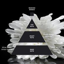 Acca Kappa White Moss Essentials - Value $165