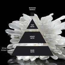 Acca Kappa White Moss (Muschio Bianco) Eau de Cologne - 100ml