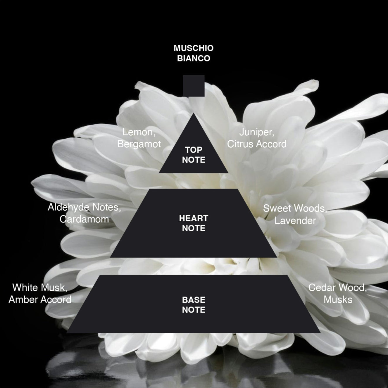 Acca Kappa White Moss (Muschio Bianco) Eau de Parfum - 100ml